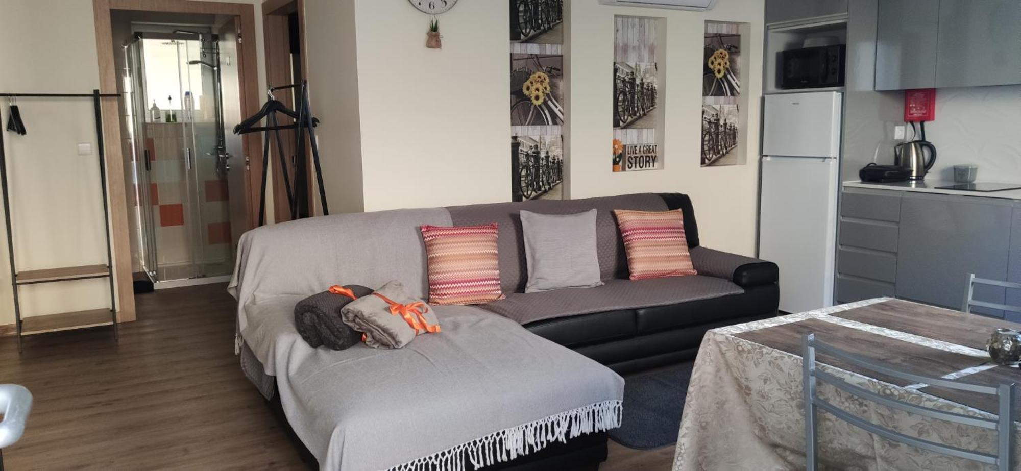 Al Santiago T1 Apartment Viana do Castelo Bilik gambar